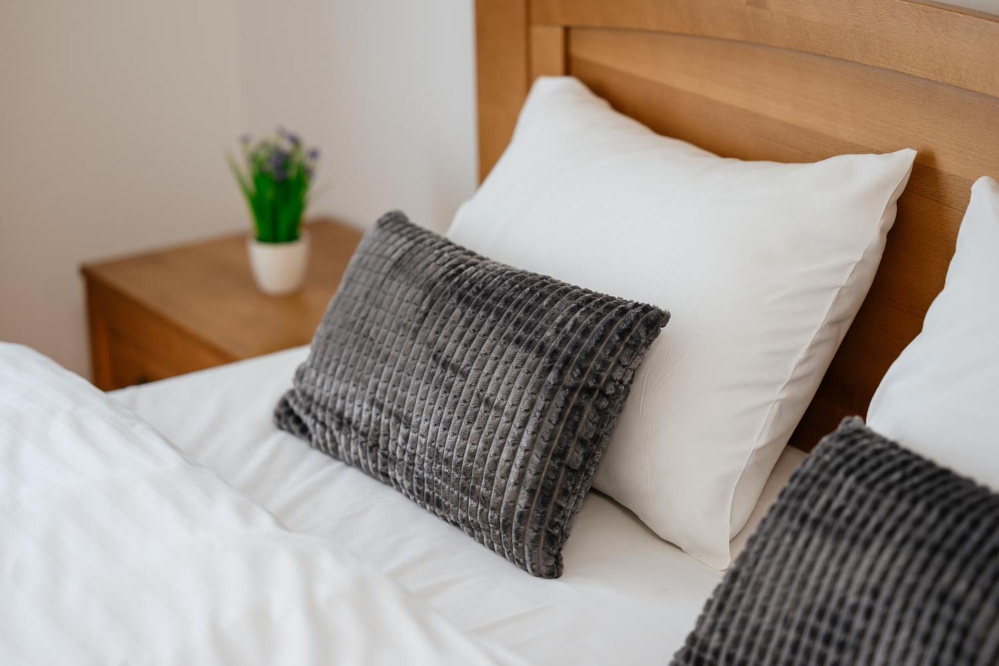 Luxury Apartments Uzhorod מראה חיצוני תמונה